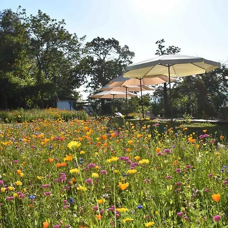 Drop-inn Nature, Relax And Hike * Ponte da Barca