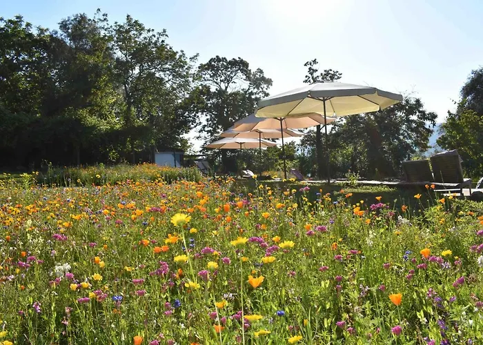 Drop-inn Nature, Relax And Hike * 폰테다바카